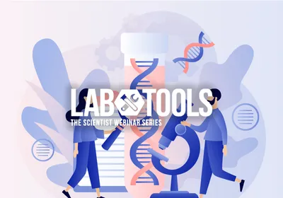 Improving Gene Therapy Safety with Antibiotic- and Supplement-Free Mini Plasmids